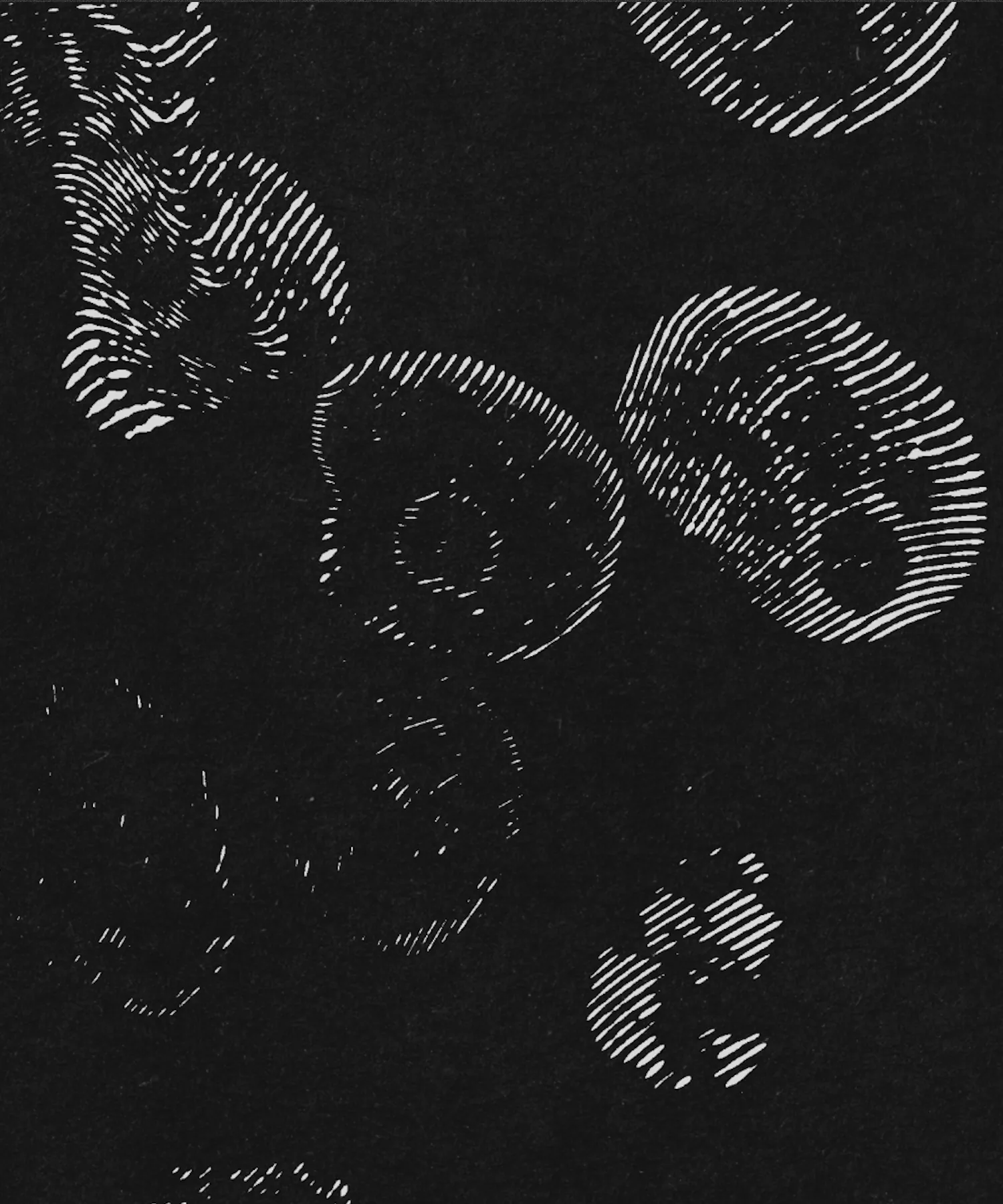 Obesity ML Competition: Tackling Metabolic Diseases - Part 1