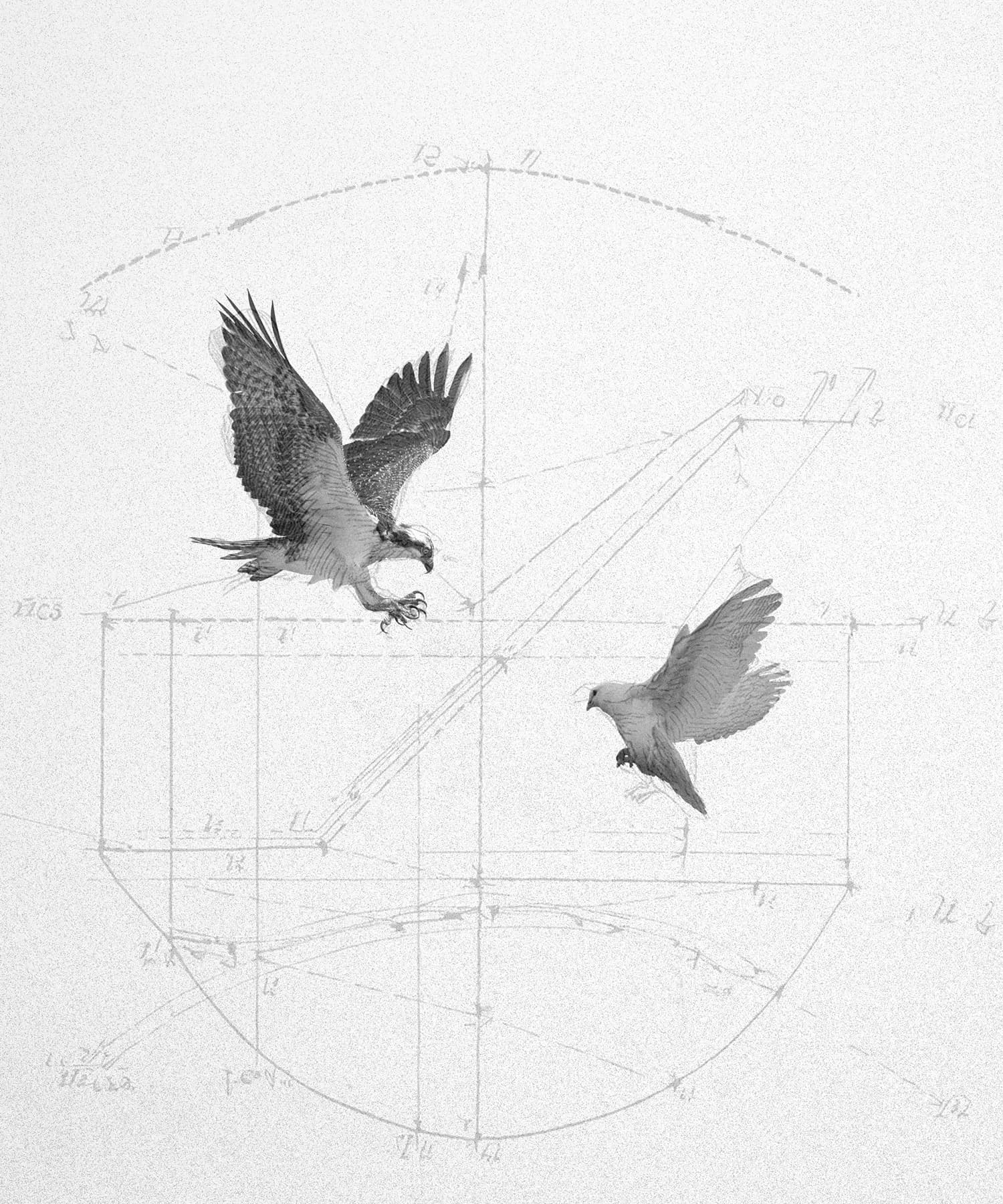 Falcon: The Collective Pricing Engine